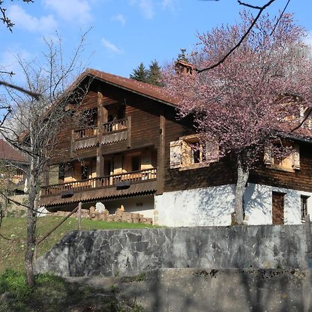 Sous Les Ecotagnes Les Villards-sur-Thônes Exterior foto