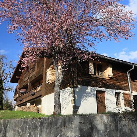 Sous Les Ecotagnes Les Villards-sur-Thônes Exterior foto