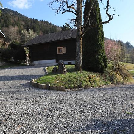 Sous Les Ecotagnes Les Villards-sur-Thônes Exterior foto