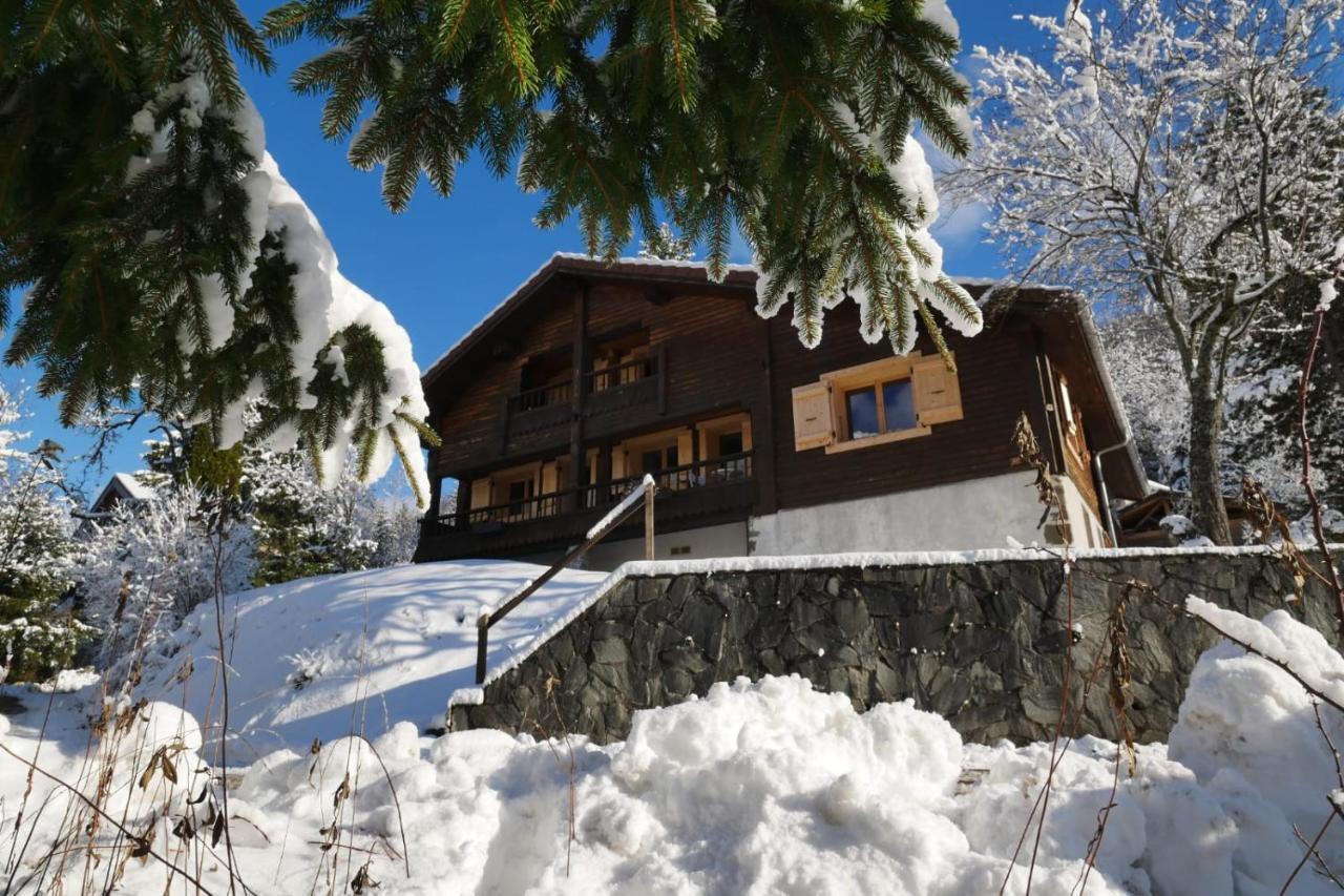 Sous Les Ecotagnes Les Villards-sur-Thônes Exterior foto