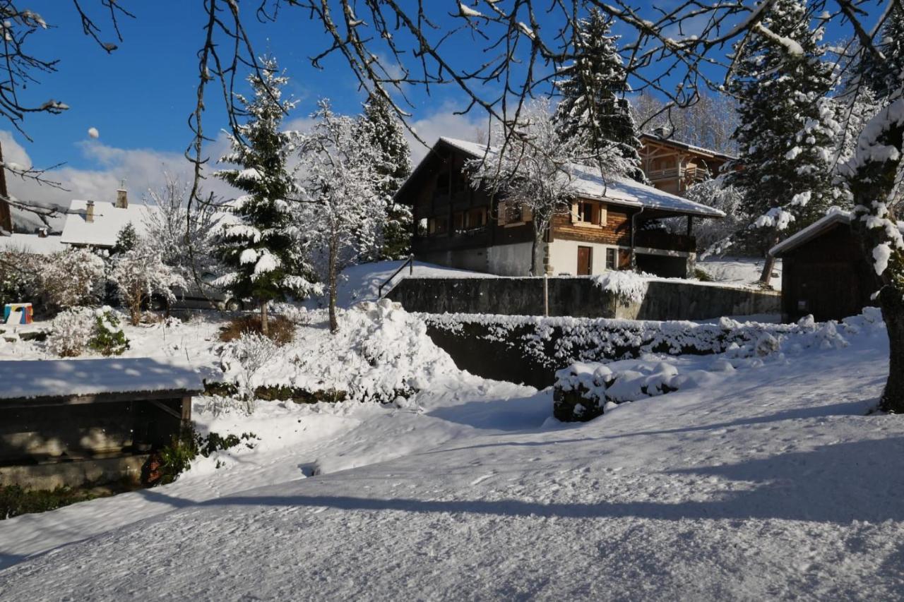 Sous Les Ecotagnes Les Villards-sur-Thônes Exterior foto
