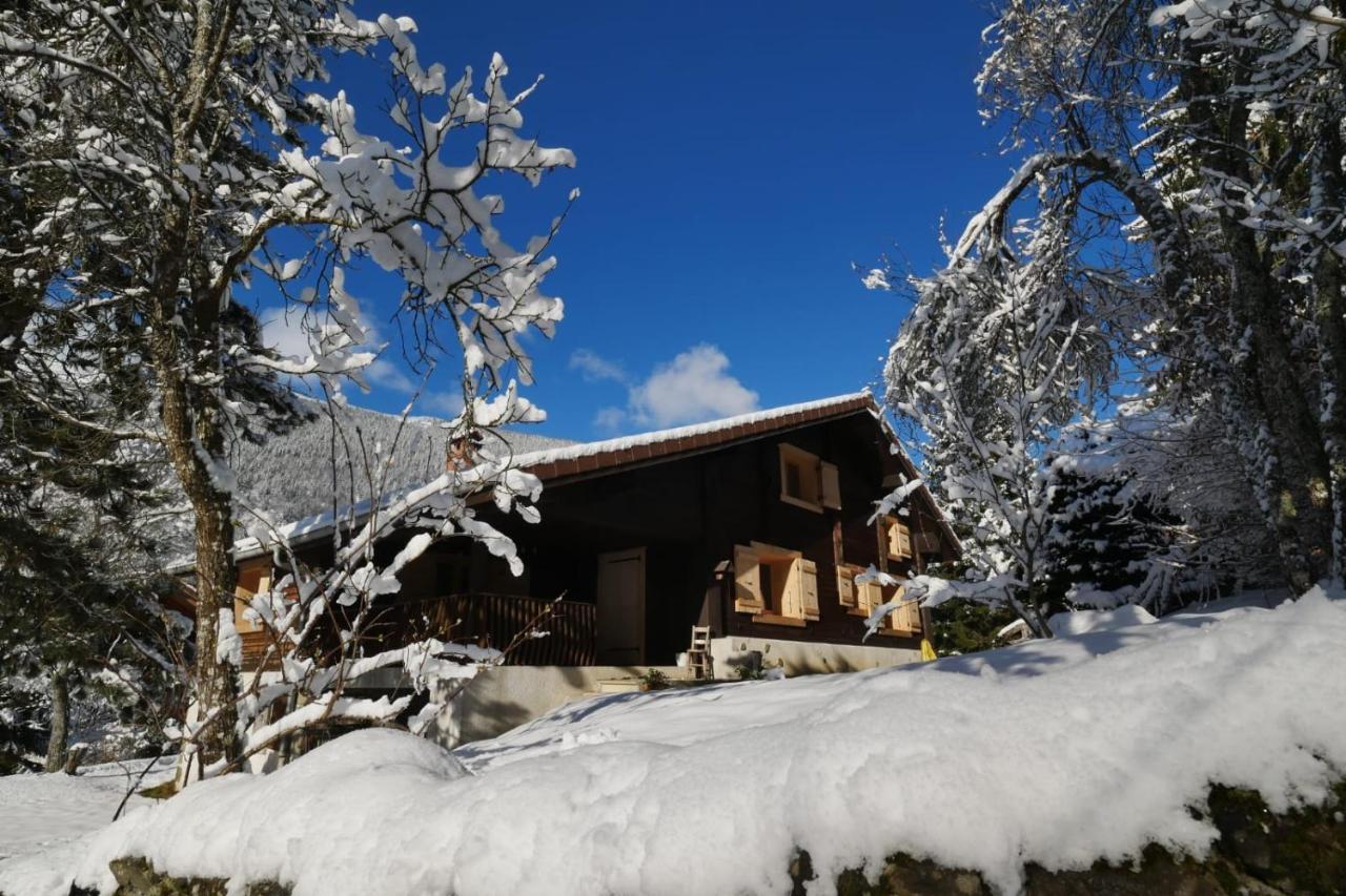 Sous Les Ecotagnes Les Villards-sur-Thônes Exterior foto