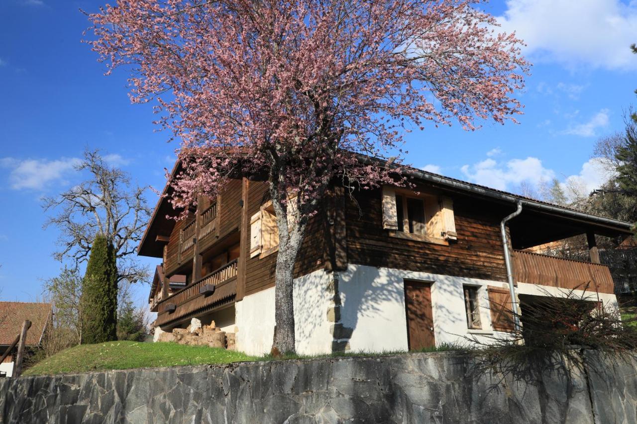 Sous Les Ecotagnes Les Villards-sur-Thônes Exterior foto
